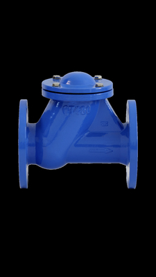 BS DIN Ball Check Valve مقعد مطاطي GGG50 PN16 QT450 مياه الصرف الصحي والغاز النفطي